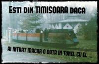 Imagine atasata: 11988744_930762970310234_5914117241037839203_n.jpg